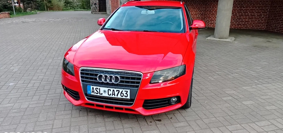 Audi A4 cena 30900 przebieg: 236018, rok produkcji 2008 z Hel małe 742